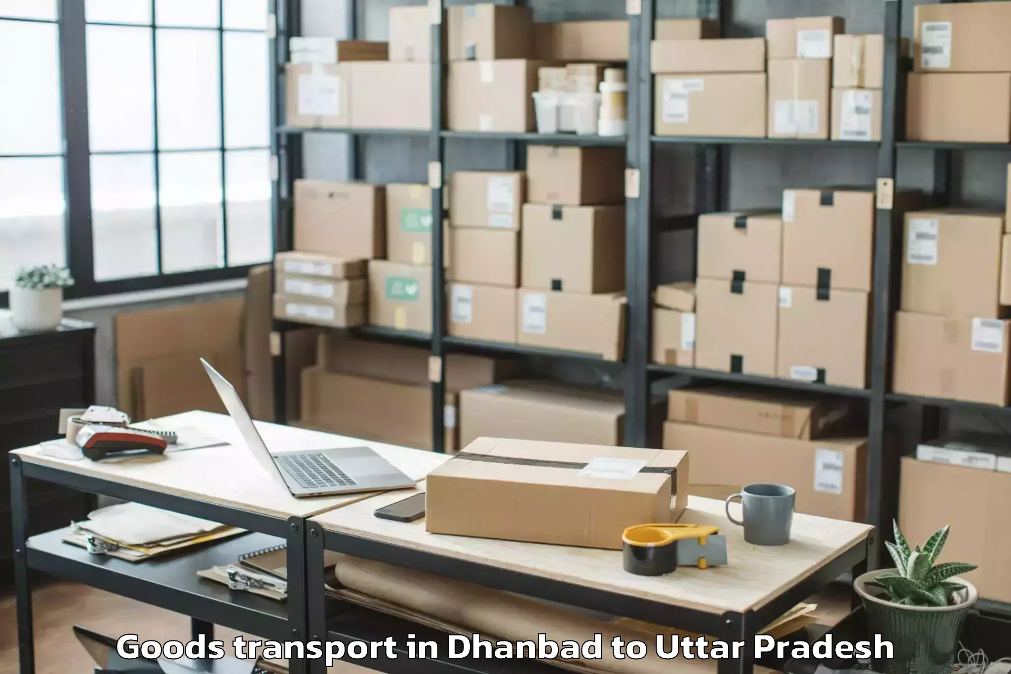 Book Dhanbad to Unchahar Goods Transport